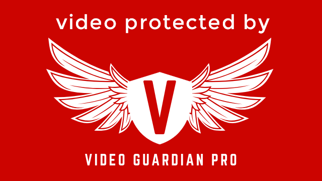 video guardian pro